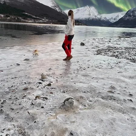 Newly Renovated Fjord View Retreat 20 Min From Tromsø