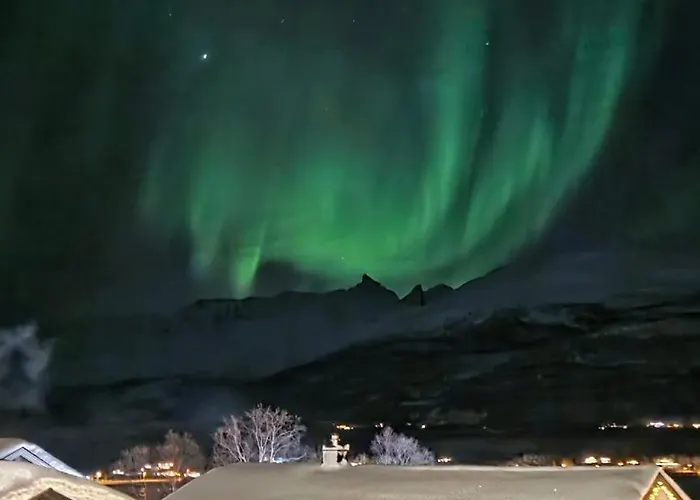Cozy By Fjord And Northern Lights Opportunities Appartamento Tromsø